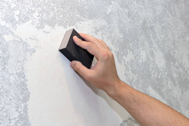  Longview Heights, WA Mold Removal Pros