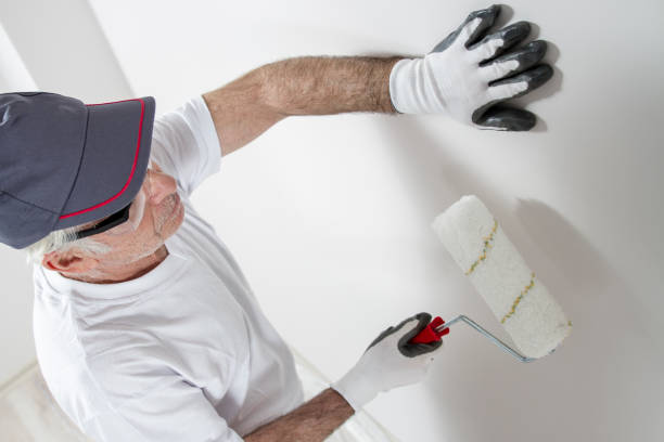 Trusted Longview Heights, WA Mold Removal Experts
