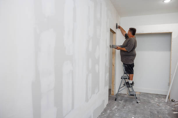 Best Mold Prevention Services  in Longview Heights, WA