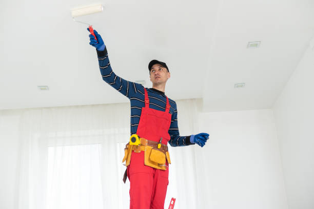 Best Basement Mold Removal  in Longview Heights, WA