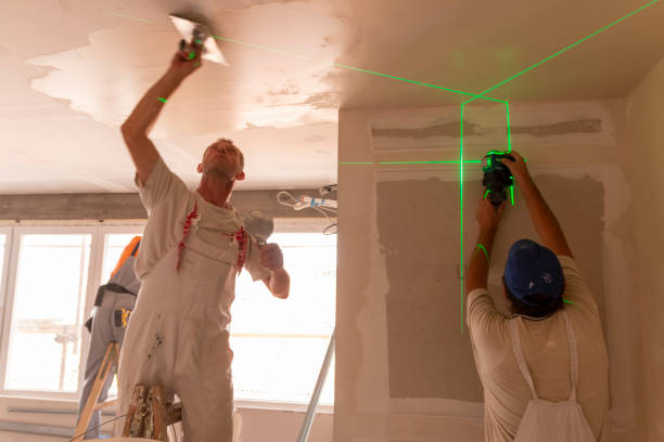 Best Mold Remediation for Rental Properties  in Longview Heights, WA