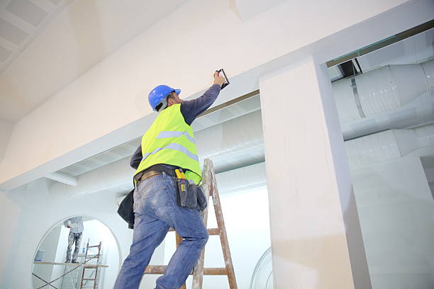 Biohazard Mold Removal in Longview Heights, WA