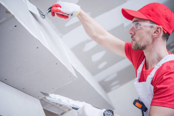 Best Basement Mold Removal  in Longview Heights, WA